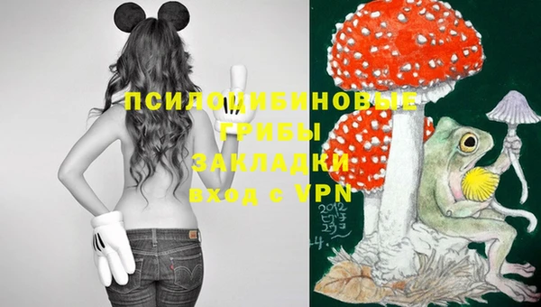 винт Баксан