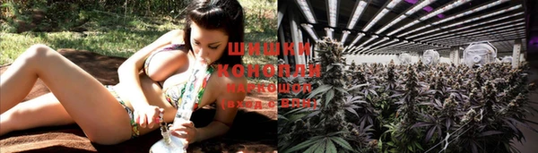 винт Баксан