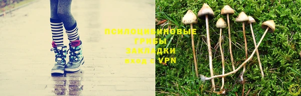 дурь Балахна
