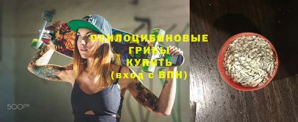 дурь Балахна