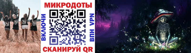 Псилоцибиновые грибы Psilocybe Новотитаровская