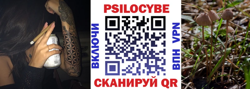 Галлюциногенные грибы GOLDEN TEACHER  KRAKEN ONION  Новотитаровская 